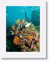02-UnionIsland - 18